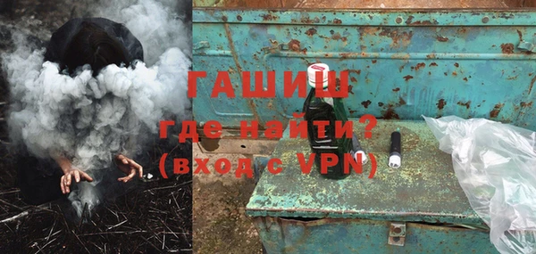индика Инта