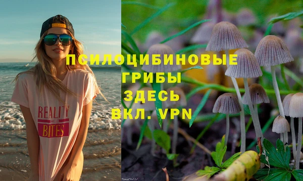 ГАЛЛЮЦИНОГЕННЫЕ ГРИБЫ Зеленокумск