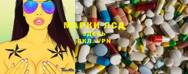 индика Инта