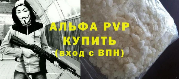 индика Инта